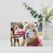 Carte Postale Fleece Navidad ! Aplaca (Debout devant)