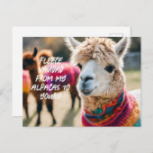 Carte Postale Fleece Navidad ! Aplaca (Devant / Derrière)