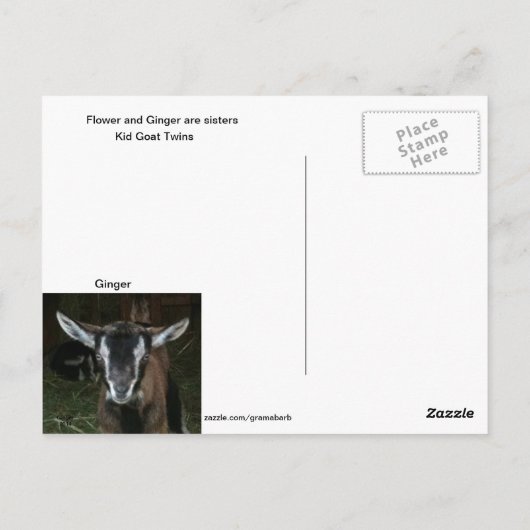 Carte postale Fleur (Dos)