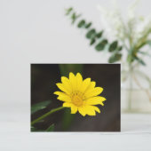 Carte Postale Fleur (Debout devant)