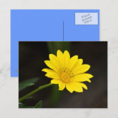 Carte Postale Fleur (Devant / Derrière)