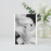 Carte Postale Fleur (Debout devant)