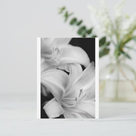 Carte Postale Fleur (Debout devant)