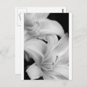 Carte Postale Fleur (Devant / Derrière)