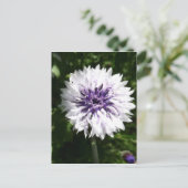 Carte Postale fleur (Debout devant)