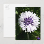 Carte Postale fleur (Devant / Derrière)