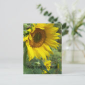 Carte Postale fleur (Debout devant)