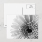 Carte Postale Fleur (Devant / Derrière)