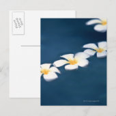 Carte Postale Fleur (Devant / Derrière)