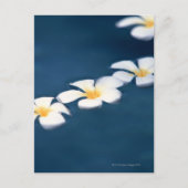 Carte Postale Fleur (Devant)