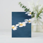 Carte Postale Fleur (Debout devant)