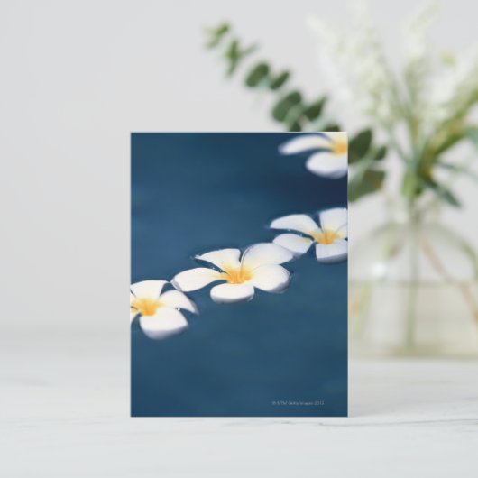 Carte Postale Fleur (Debout devant)