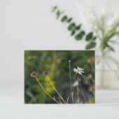 Carte Postale Fleur (Debout devant)