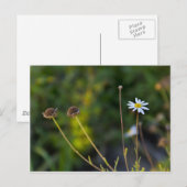 Carte Postale Fleur (Devant / Derrière)