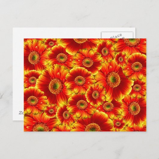 Carte Postale Fleur (Devant / Derrière)