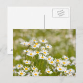 Carte Postale Fleur (Devant / Derrière)