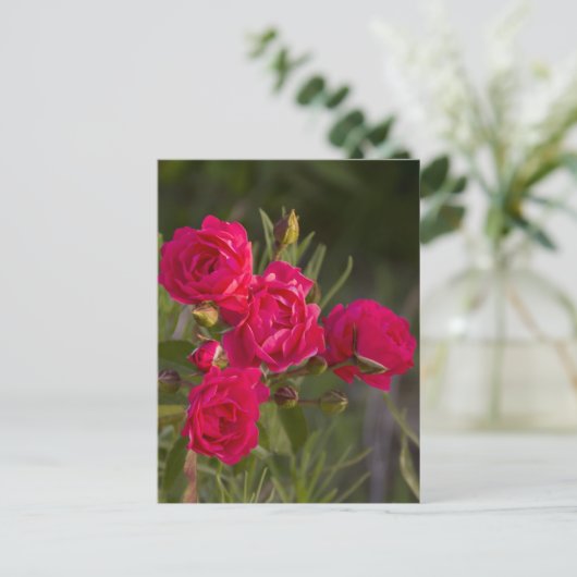 Carte Postale Fleur (Debout devant)