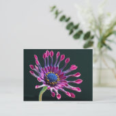 Carte Postale fleur (Debout devant)