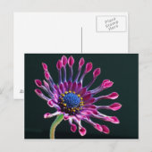 Carte Postale fleur (Devant / Derrière)