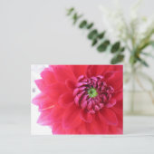 Carte Postale fleur (Debout devant)