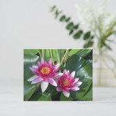 Carte Postale Fleur (Debout devant)