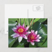 Carte Postale Fleur (Devant / Derrière)