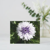 Carte Postale fleur (Debout devant)