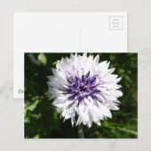 Carte Postale fleur (Devant / Derrière)