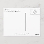 Carte Postale Fleur (Dos)