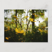 Carte postale Fleur_01 (Devant)