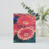 Carte Postale Fleur à pointe blanche (Debout devant)