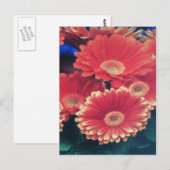 Carte Postale Fleur à pointe blanche (Devant / Derrière)