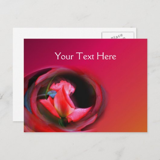 Carte Postale Fleur Abstraite Rosebud rose chaud (Devant / Derrière)