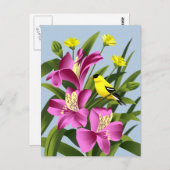 Carte Postale Fleur Alstroemeria et Goldfinch (Devant / Derrière)