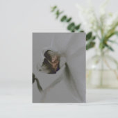 Carte Postale Fleur artistique dans les tons gris (Debout devant)