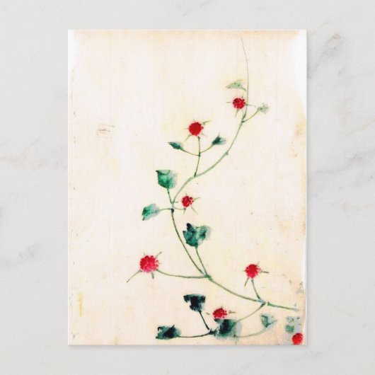 Carte Postale Fleur asiatique (Devant)