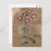 Carte Postale Fleur Aster Style vintage (Devant / Derrière)