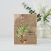 Carte Postale Fleur Bistort de style vintage (Debout devant)
