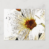 Carte Postale Fleur blanche (Devant)