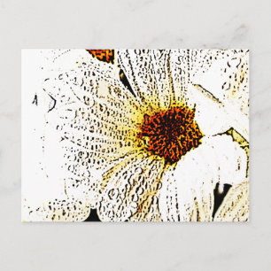 Carte Postale Fleur blanche
