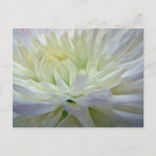 Carte Postale Fleur blanche