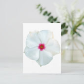 Carte Postale fleur blanche (Debout devant)