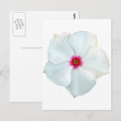Carte Postale fleur blanche (Devant / Derrière)