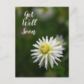 Carte Postale Fleur Blanche Dahlia Se Bien Bientôt (Devant)