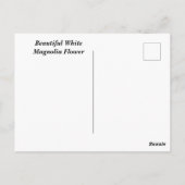 Carte Postale Fleur blanche de Magnolia (Dos)