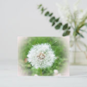 Carte Postale fleur blanche délicate (Debout devant)