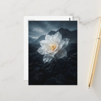 Carte Postale Fleur blanche poussant du rocher
