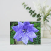 Carte Postale Fleur bleue (Debout devant)