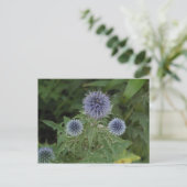 Carte Postale fleur bleue (Debout devant)