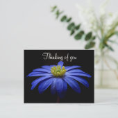 Carte postale Fleur Bleue (Debout devant)